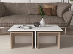 Tables Basses Gigognes - Blanc Et Naturel - LUDOVA